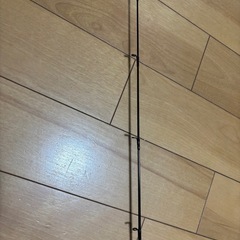 【値下げしました】バスロッド　DAIWA PR Thunder Stick 601MRBの画像