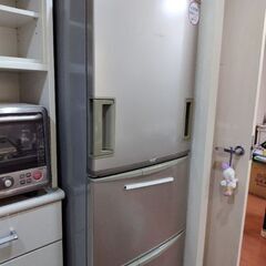冷蔵庫　大容量　両開きタイプ