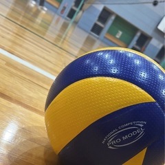 【6/24 19:00~21:00】バレーボールやります！