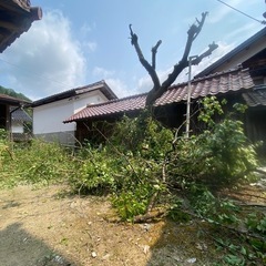 剪定、伐倒、草刈り、庭掃除の画像