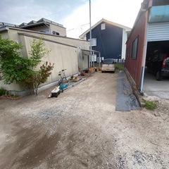 剪定、伐倒、草刈り、庭掃除の画像