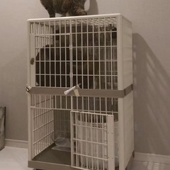 アイリス プラケージ2段 スリムタイプ