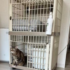 アイリス プラケージ2段 スリムタイプの画像