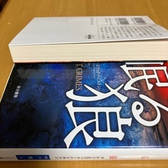 冬の炎、眠る狼の画像