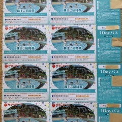 東京サマーランド 株主優待ご招待券１Dayパス_0608の画像