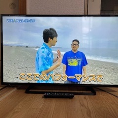 パナソニック　TH-43D300 