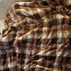 秋川駅 ニトリ こたつ布団の画像