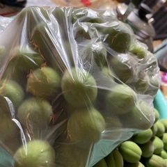 青梅の画像