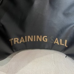 【BODYMAKER】（ボディメーカー）スーパーダ ミーミットシールド 大型ミットの画像