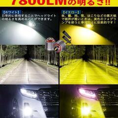 L1B　バイカラーフォグの画像