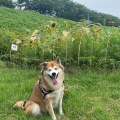 仲間と一緒にカラオケ行きませんか