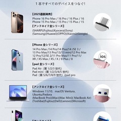 新品未使用　256GB usbメモリ ４in1プッシュ型 容量不足解消 アプリ不要 USBの画像