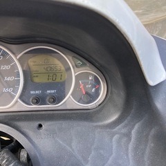 マジェスティー
の画像