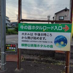 【長岡市】蛍を見に行きたい人　募集　ホタルが見れます