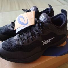【未使用品】ASICS GLIDE NOVA FF 3 2…