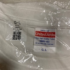 ぱげズ 新品未使用 Tシャツ キウィフルーツの画像