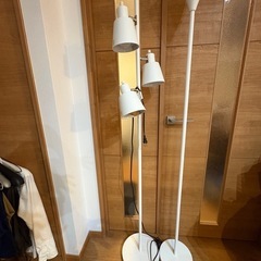 間接証明
の画像