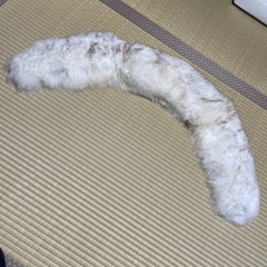 SAGA FOX 成人式 振袖用ショールの画像