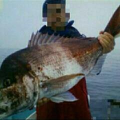 新規釣りグループ作ろうかと思います　　TEAM釣りキチ！　　　　　　　新規メンバー大募集‼️ - 江戸川区