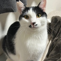 めっちゃ優しい性格の男の子❣️
