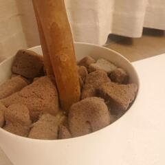 【定価80％OFF】パキラ観葉植物フェイク消臭抗菌効果ありの画像