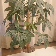 【定価80％OFF】パキラ観葉植物フェイク消臭抗菌効果ありの画像