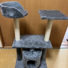 キャットタワー　ペットのコジマ