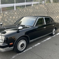 50センチュリーの画像