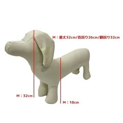 《最終価格》犬 マネキン ドッグトルソー M ホワイト