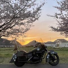 HONDA　MAGNA250 カスタム　アメリカン　WLA風　ミ...