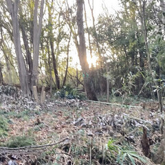 ソロキャンプ、プライベート空間、秘密基地、家庭菜園、ブッシュクラ...