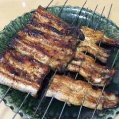 うなぎ釣りなら鰻遊会‼️　　LINEOpenChat鰻遊会　　　...