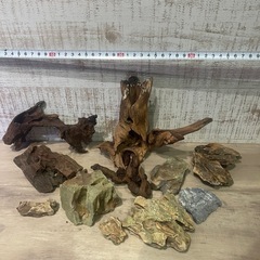 流木小&石セット　水槽　熱帯魚　テラリウムの画像