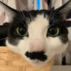 経営者って孤独じゃないです？