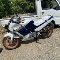 gpx250