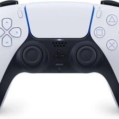 PS5 純正コントローラー ジャンク