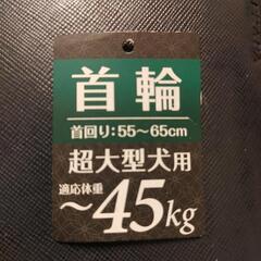 超大型 犬用 首輪(新品)の画像