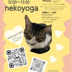 保護猫が邪魔をするヨガの時間