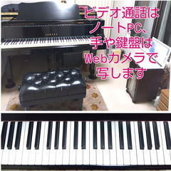 会話中心の『ピアノ相談室』ただいま 先着3名様まで無料体験実施中！「ちょっと聞きたい」から受験まで、お聞きします♪の画像