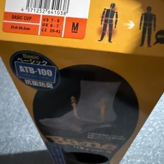 バネインソール BASIC（Ba2ne）の画像