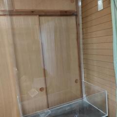 水槽　パルダリウムの画像