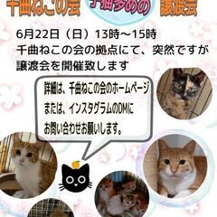 NPO法人千曲ねこの会譲渡会