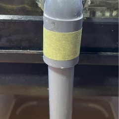 ニッソー　60サイズ水槽　自作排水口有の画像