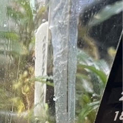 ニッソー　60サイズ水槽　自作排水口有の画像