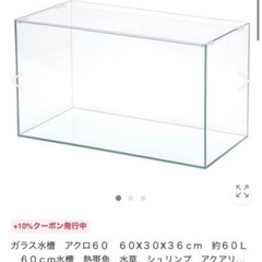 60cm水槽