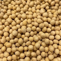 北海道大豆の画像