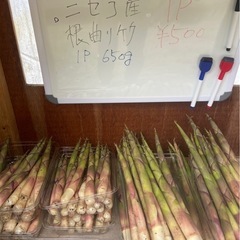 根曲がり竹　ニセコ産✨