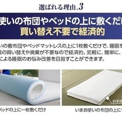 セミダブル　トゥルースリーパー プレミアリッチの画像