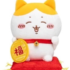 ハチワレ福猫