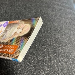 美品！　虚妄の女王 ～辺境警備外伝～ 1の画像